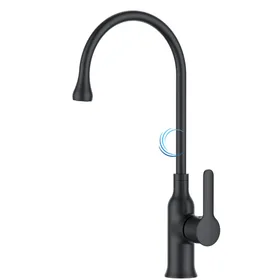 ברזים פיה קבועה למטבח